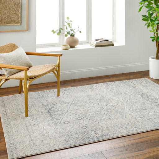 Alpharetta Artisan Abstract Rug