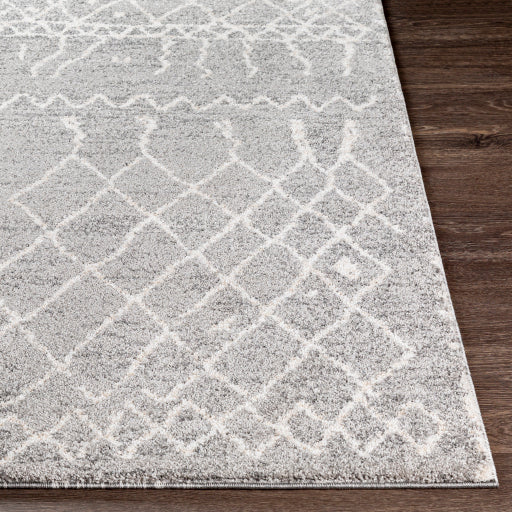 Andorra Artisan Tapestry Machine Woven Rug