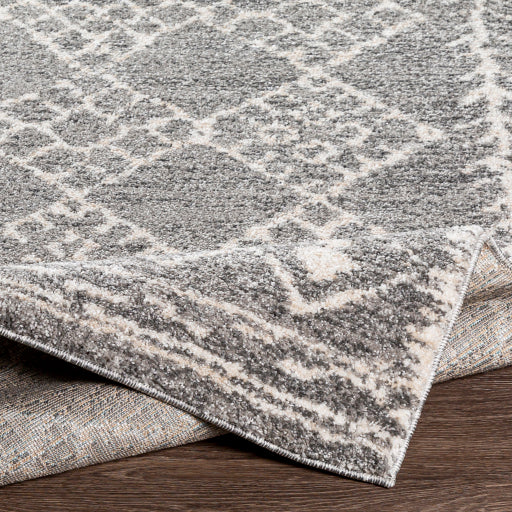 Andorra Artisan Tapestry Machine Woven Rug
