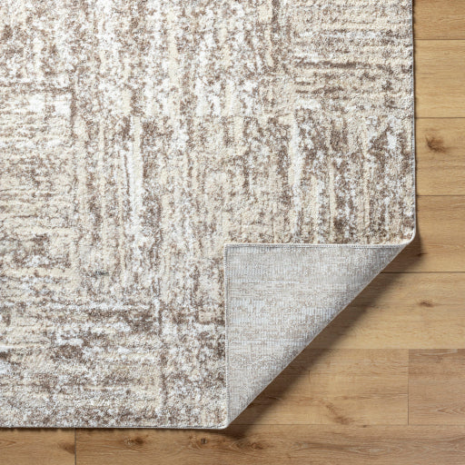Andorra Alpine ARP Woven Accent Rug