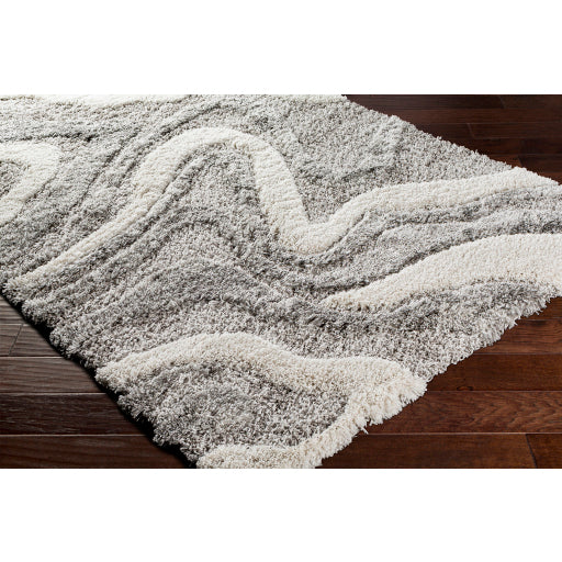 Alta Shag Area Accent Rug