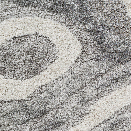 Alta Shag Area Accent Rug