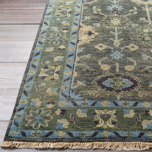 Antique Aubusson Artisan Area Rug