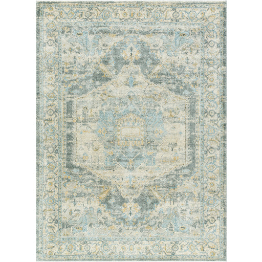 Avellino Artisanal Area Rug