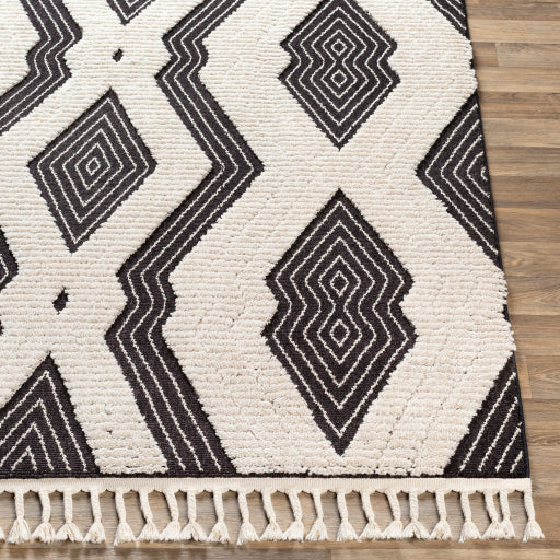 Azilal Artistry Machine Woven Rug