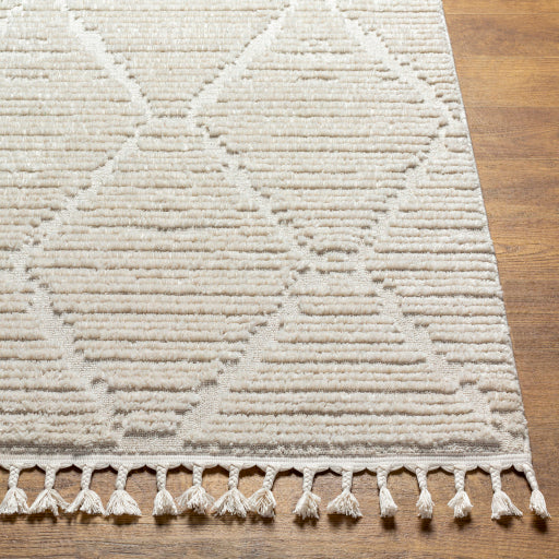 Azilal Artisan Abstract Machine Woven Rug