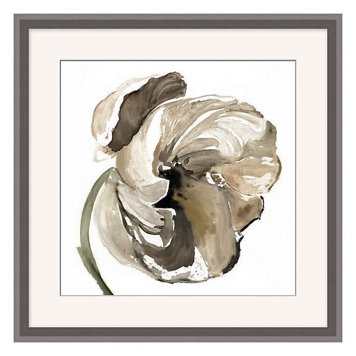Shadow Floret Art 33" x 33" Print III With Frame