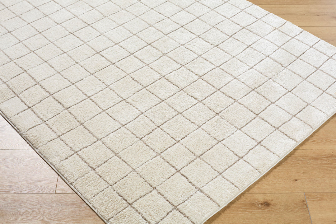 Cascade Machine Woven Rug