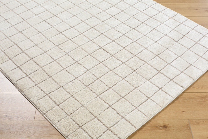 Cascade Machine Woven Rug