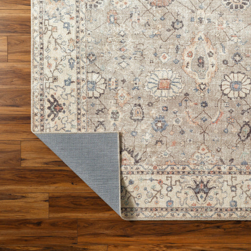 Delilah BOCC-2302 Machine Woven Rug