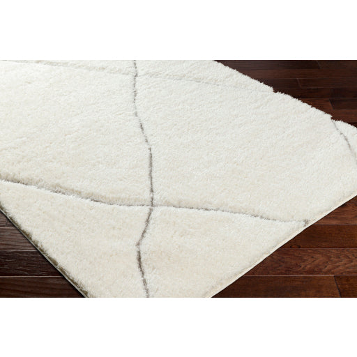 Bologna Boho-Chic Machine Woven Rug