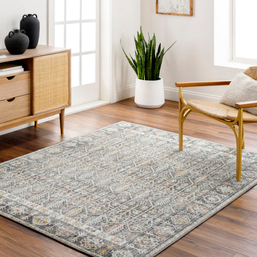 Bitlis Beige Symmetry Indoor Area Rug