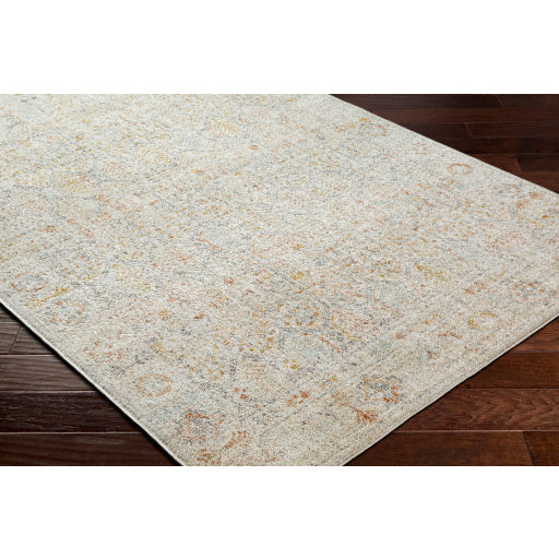 Bitlis Border Scroll Indoor Area Rug
