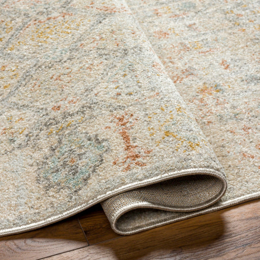 Bitlis Border Scroll Indoor Area Rug
