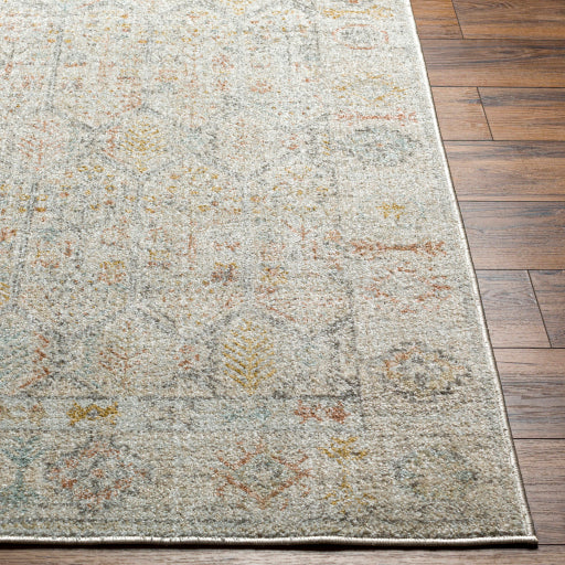 Bitlis Border Scroll Indoor Area Rug