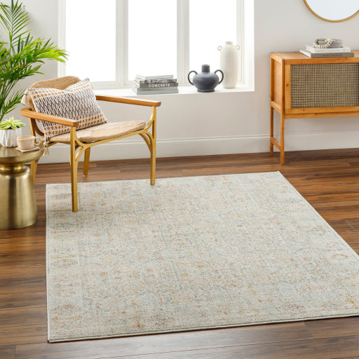 Bitlis Border Scroll Indoor Area Rug