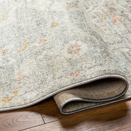 Bitlis Borderline Machine Woven Rug