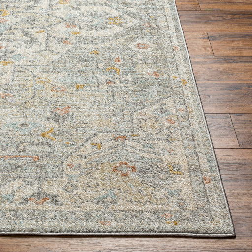 Bitlis Borderline Machine Woven Rug