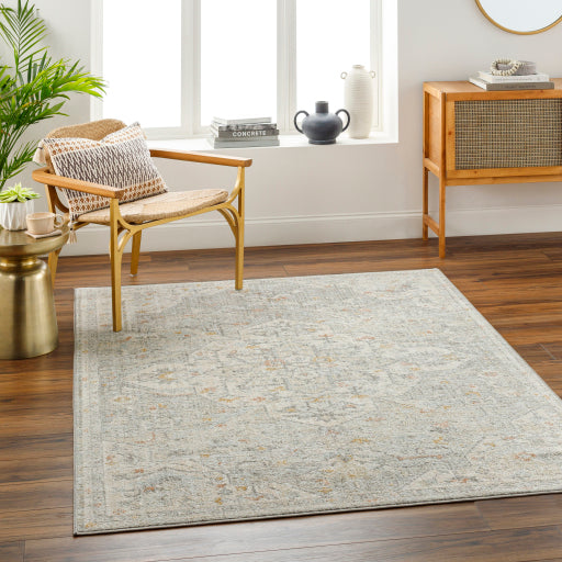 Bitlis Borderline Machine Woven Rug