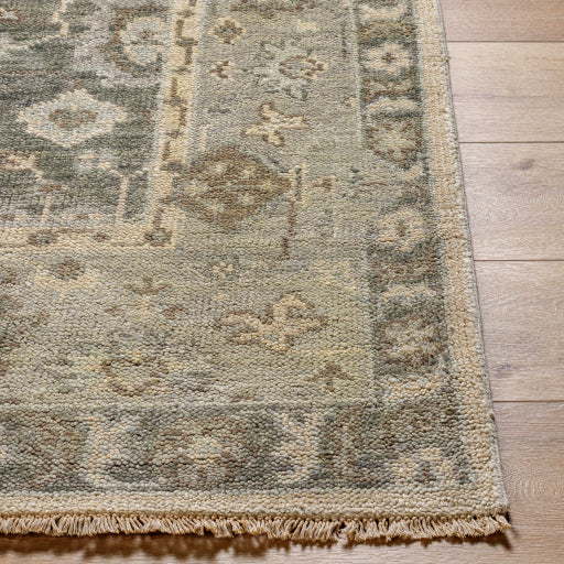 Biscayne Bay Handcrafted Area Rug