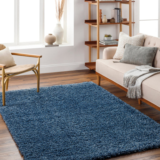 Bogota Shimmer BTG Serenity Rug