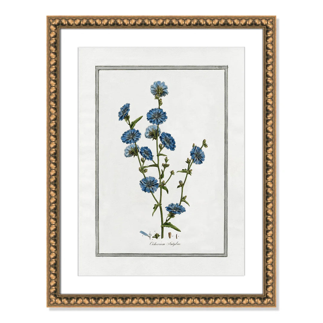 Soft Botanical I