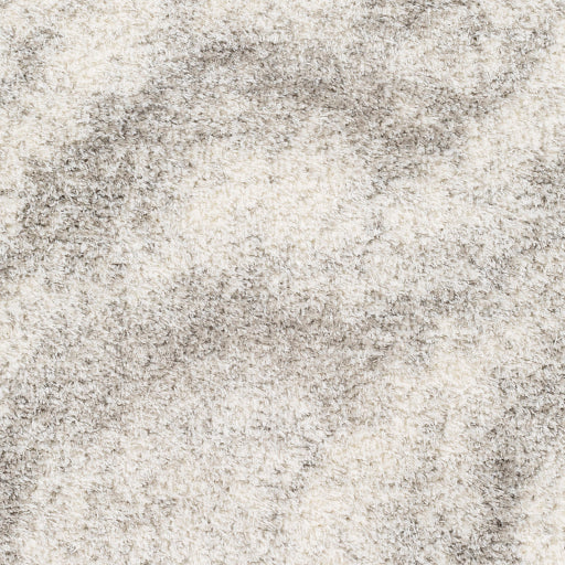 Cumulus Shag Crafted Decor Rug