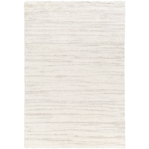 Cumulus Slate CDG-2307 Medium Machine Woven Rug