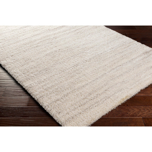 Cumulus Slate CDG-2307 Medium Machine Woven Rug