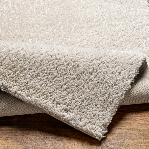 Cumulus Slate CDG-2307 Medium Machine Woven Rug