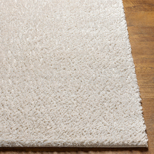 Cumulus Slate CDG-2307 Medium Machine Woven Rug