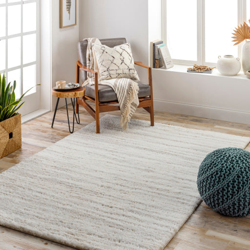 Cumulus Slate CDG-2307 Medium Machine Woven Rug