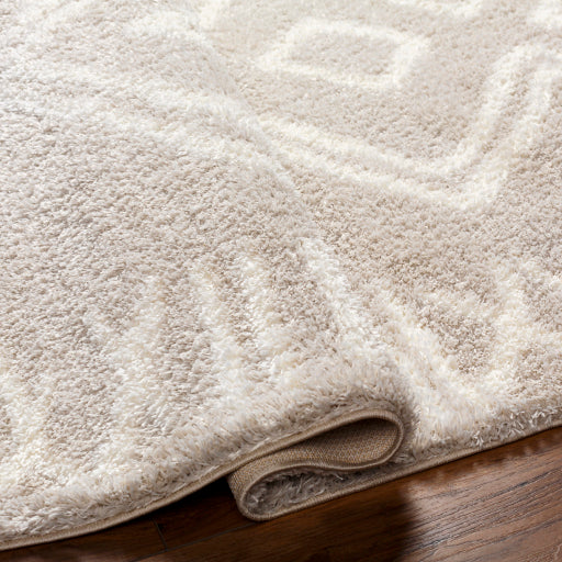 Cloudy Shag Charcoal Designer Rug