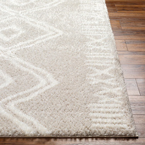 Cloudy Shag Charcoal Designer Rug
