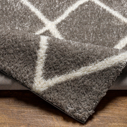 Cloudy Shag Contemporary Machine Woven Rug