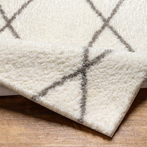 Cloudy Shag Contemporary Decorative Rug