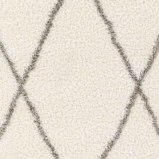 Cloudy Shag Contemporary Decorative Rug