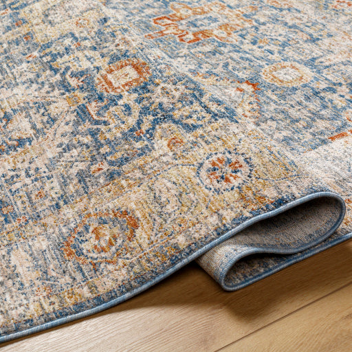 Chicago Chic Elegance Large Area Rug