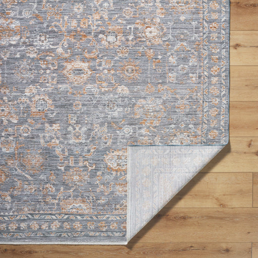 Chapel Hill Charming Woven Area Rug