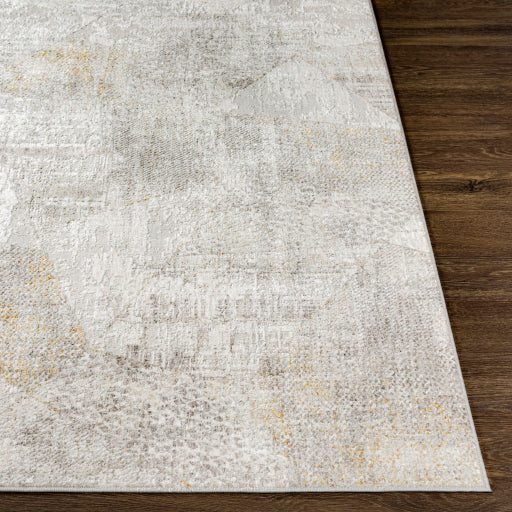 Carmel Contemporary Machine Woven Rug