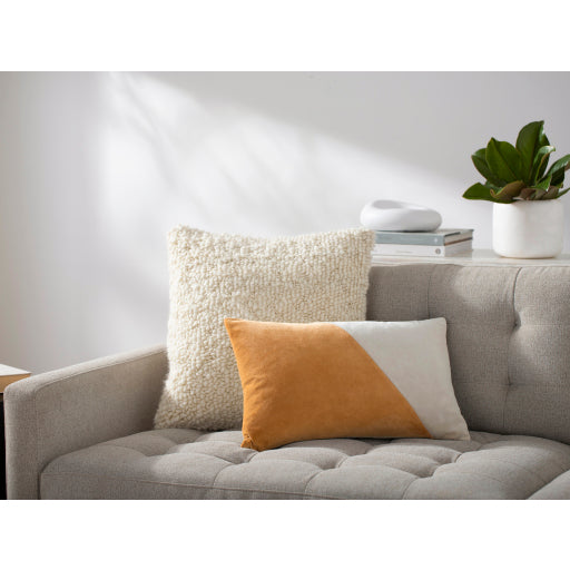 Chic Velvet Accent Pillow