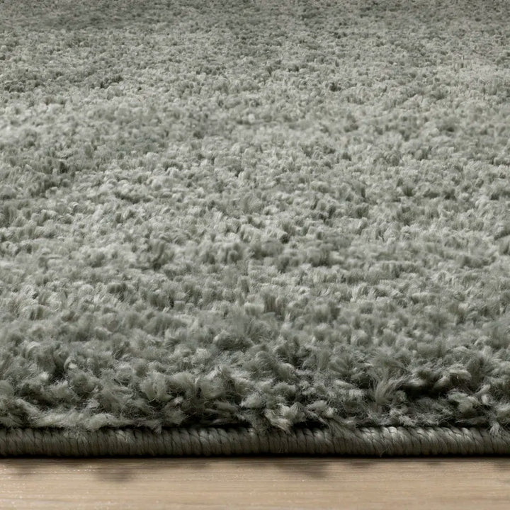 Melnik Solid Colour Machine Woven Polypropylene Area Rug in Sage Green