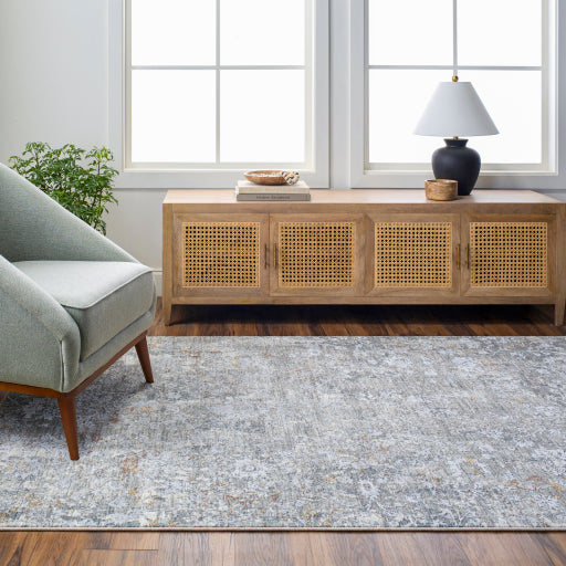 Dresden Decorative Designer Rug