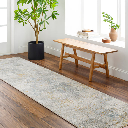Dresden Decorative Machine Woven Rug
