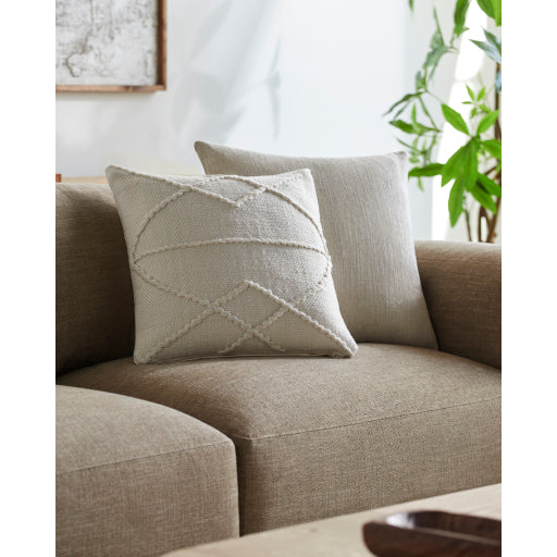 Modern Chic Accent Pillow