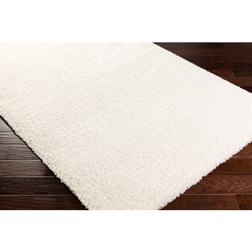 Deluxe Shag Decorative Dense Weave Rug