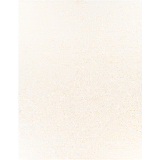 Deluxe Shag Decorative Dense Weave Rug