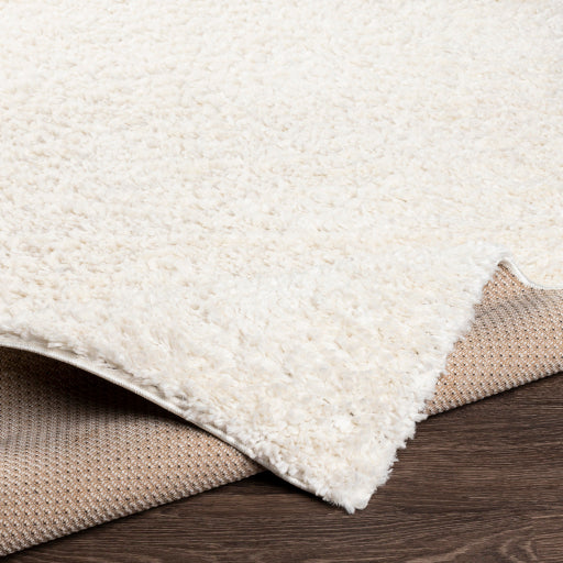 Deluxe Shag Decorative Dense Weave Rug