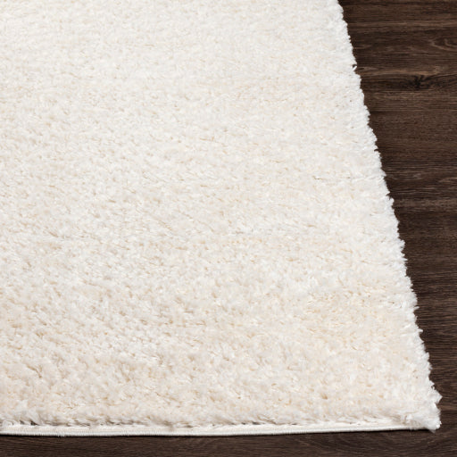 Deluxe Shag Decorative Dense Weave Rug