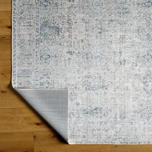 Embrace Elegant Machine Woven Accent Rug